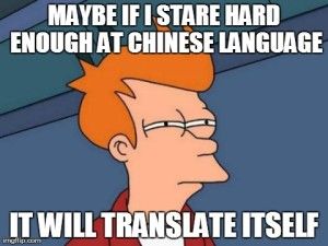 Maybe if I stare hard enough at Chinese language, it will translate itself.