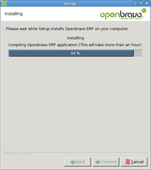 OpenBravo Installation